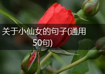 关于小仙女的句子(通用50句)