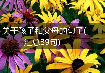关于孩子和父母的句子(汇总39句)