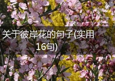 关于彼岸花的句子(实用16句)