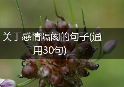 关于感情隔阂的句子(通用30句)
