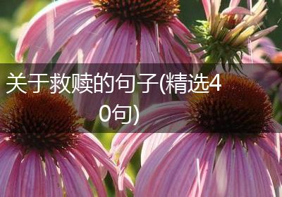 关于救赎的句子(精选40句)