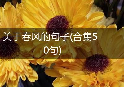 关于春风的句子(合集50句)