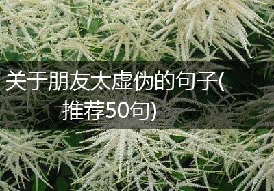 关于朋友太虚伪的句子(推荐50句)