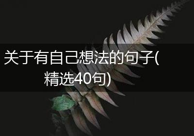 关于有自己想法的句子(精选40句)
