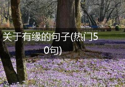 关于有缘的句子(热门50句)