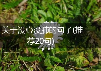 关于没心没肺的句子(推荐20句)
