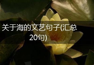 关于海的文艺句子(汇总20句)