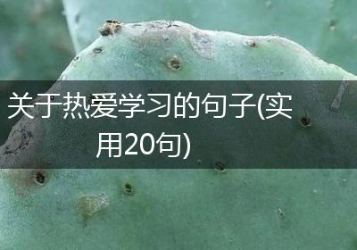 关于热爱学习的句子(实用20句)