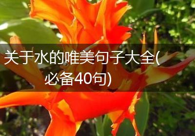 关于水的唯美句子大全(必备40句)