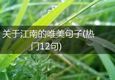 关于江南的唯美句子(热门12句)