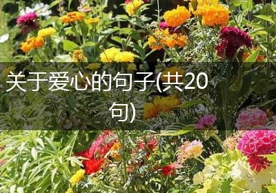 关于爱心的句子(共20句)