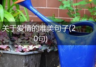 关于爱情的唯美句子(20句)