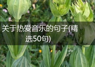 关于热爱音乐的句子(精选50句)