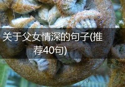 关于父女情深的句子(推荐40句)