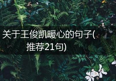 关于王俊凯暖心的句子(推荐21句)