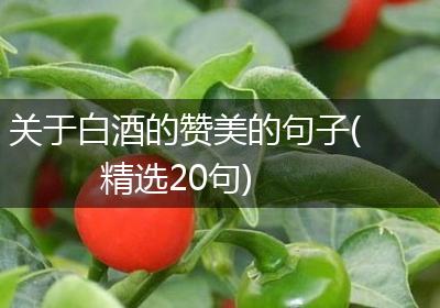 关于白酒的赞美的句子(精选20句)