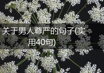 关于男人尊严的句子(实用40句)