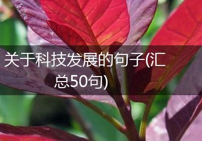 关于科技发展的句子(汇总50句)