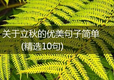 关于立秋的优美句子简单(精选10句)
