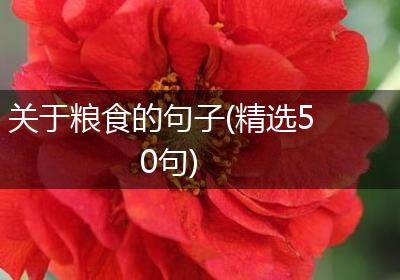 关于粮食的句子(精选50句)