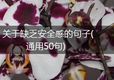关于缺乏安全感的句子(通用50句)
