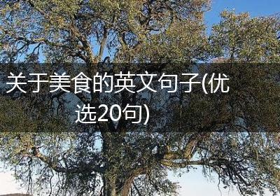 关于美食的英文句子(优选20句)
