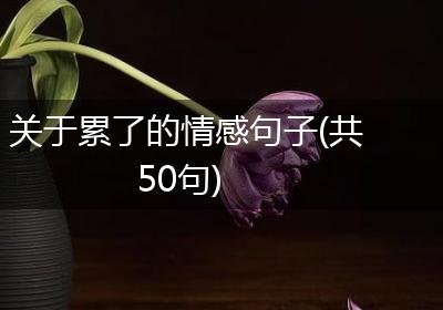 关于累了的情感句子(共50句)