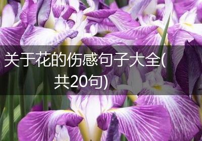 关于花的伤感句子大全(共20句)