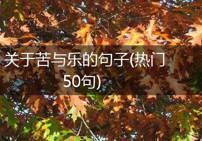 关于苦与乐的句子(热门50句)