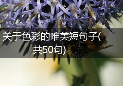 关于色彩的唯美短句子(共50句)