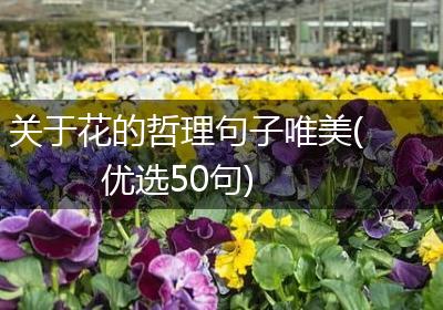关于花的哲理句子唯美(优选50句)