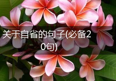 关于自省的句子(必备20句)