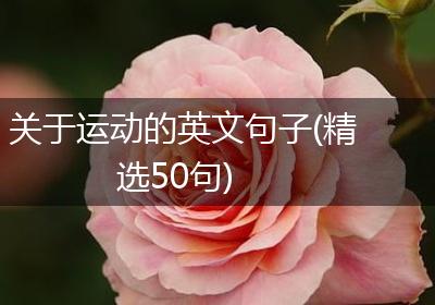 关于运动的英文句子(精选50句)