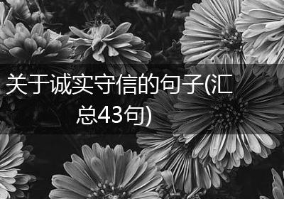 关于诚实守信的句子(汇总43句)