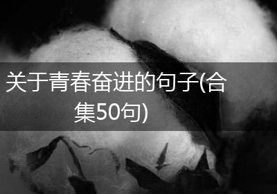 关于青春奋进的句子(合集50句)