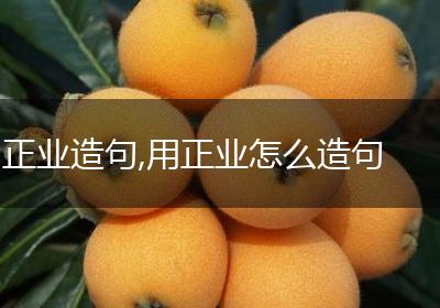 正业造句,用正业怎么造句