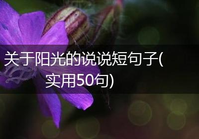关于阳光的说说短句子(实用50句)