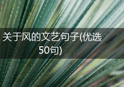 关于风的文艺句子(优选50句)