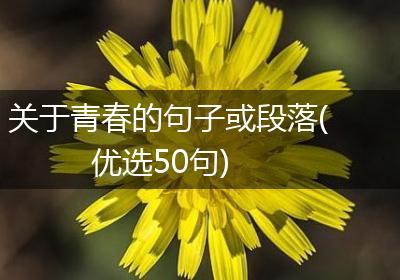 关于青春的句子或段落(优选50句)