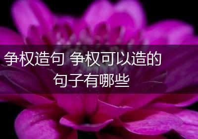 争权造句 争权可以造的句子有哪些