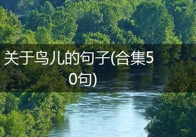 关于鸟儿的句子(合集50句)