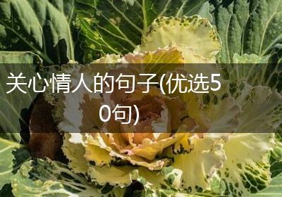 关心情人的句子(优选50句)