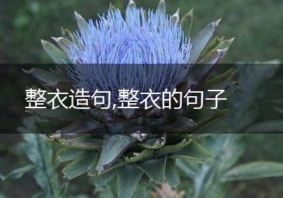 整衣造句,整衣的句子