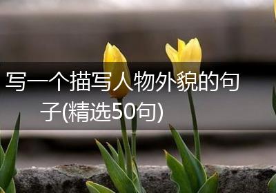 写一个描写人物外貌的句子(精选50句)