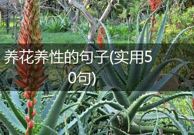 养花养性的句子(实用50句)
