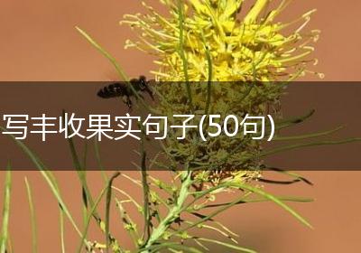 写丰收果实句子(50句)