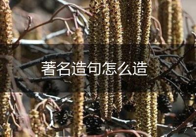 著名造句怎么造