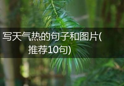 写天气热的句子和图片(推荐10句)