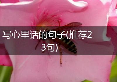 写心里话的句子(推荐23句)