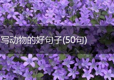写动物的好句子(50句)